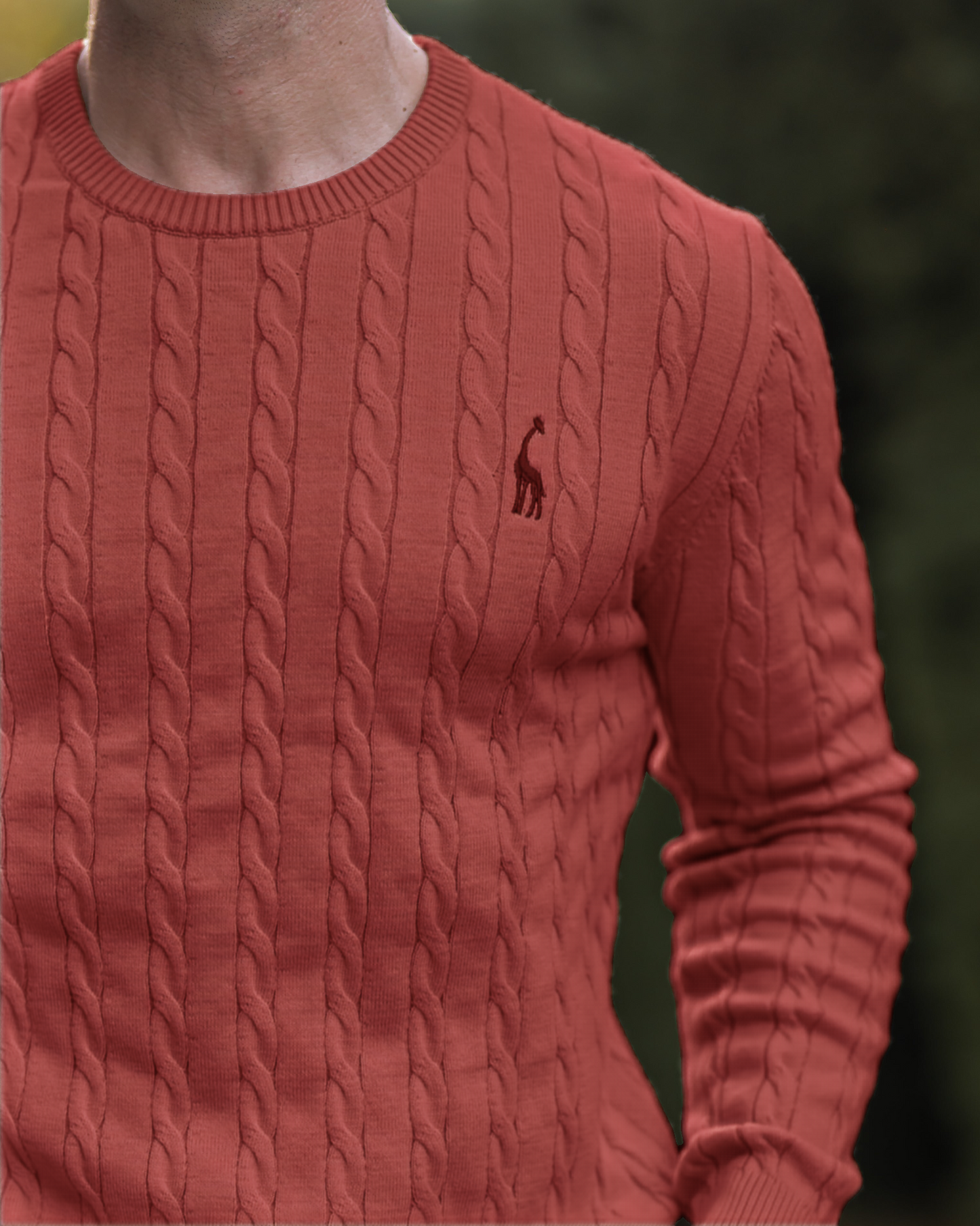 Men's Cable Knit Sweater