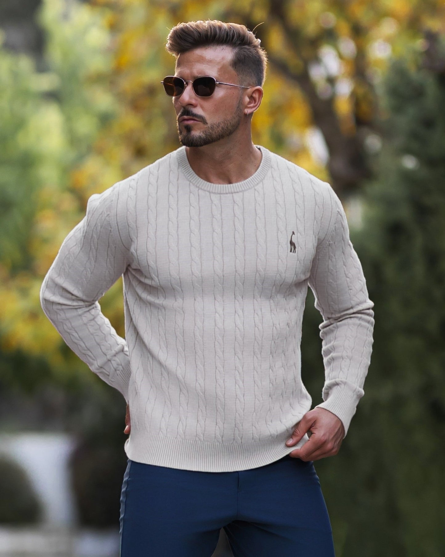 Men's Cable Knit Sweater