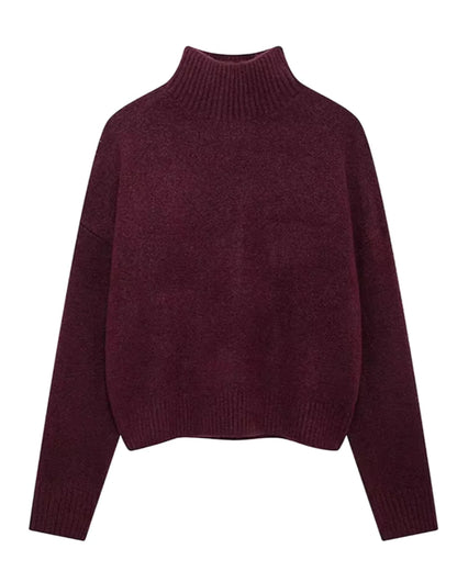 Women's Relaxed Roll-Neck Sweater Soft Knit